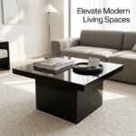 Contemporary-black-square-coffee-table-styled-in-a-modern-luxury-interior.