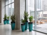 Premium Tall Gradient Plastic Floor Planter – High-Gloss Commercial Grade - Image 4